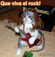 /album/losmejoresvideos-webnode-net/gato-rock-jpg/
